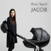 Детская коляска Anex Sport Jacob 3 в 1 - Интернет-магазин детских товаров Pelenka66 Екатеринбург