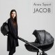 Детская коляска Anex Sport Jacob 2 в 1 - Интернет-магазин детских товаров Pelenka66 Екатеринбург